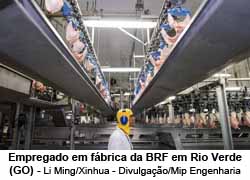 Empregado em fbrica da BRF em Rio Verde (GO) - Li Ming/Xinhua - Divulgao/Mip Engenharia