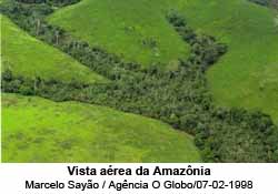 Vista aérea da Amazônia - Foto: Marcelo Sayão / Agência O Globo/07-02-1998