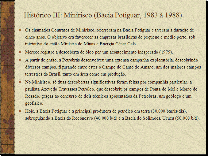 PVCIMG13 L�mina 13