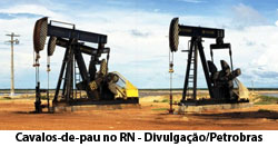 Cavalos-de-pau no RN - Divulgao/Petrobras